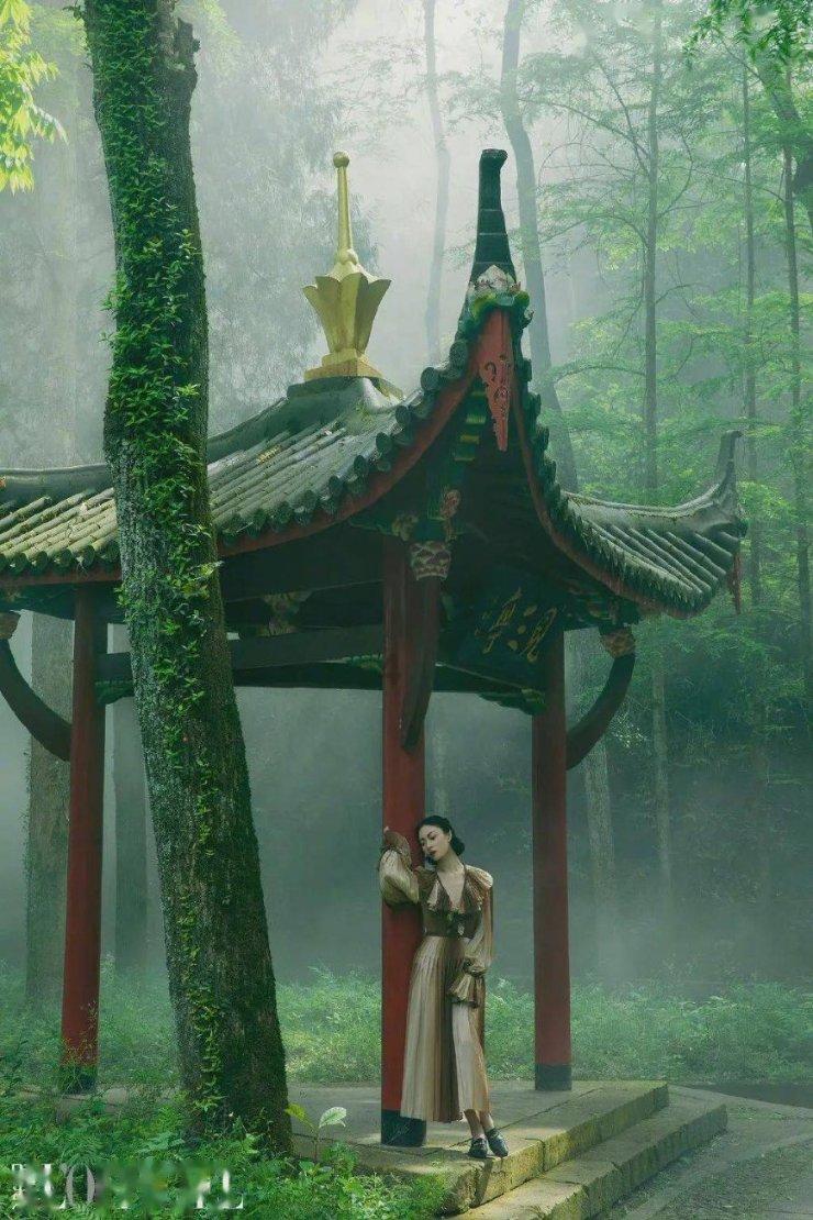 探索猪呕吐可以杀吃吗?,专属知识星球只为你开放!